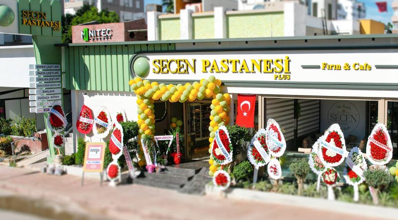 IMAGE 2025-11-12 12:41:45